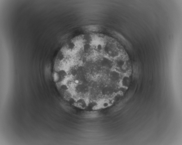 X0000111160377200908111159