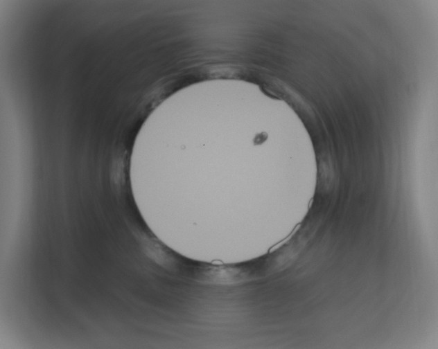 X0000111160379200908111159