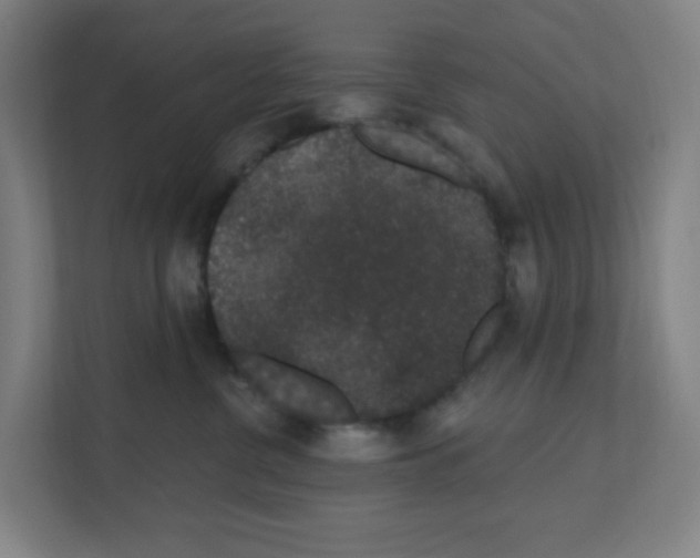 X0000111160380200908111159