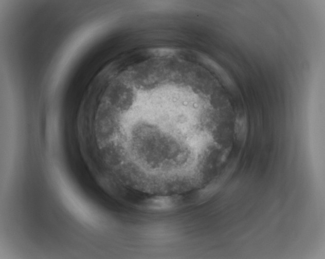 X0000111160381200908111159