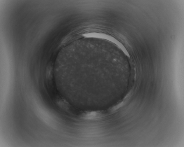 X0000111160382200908111159