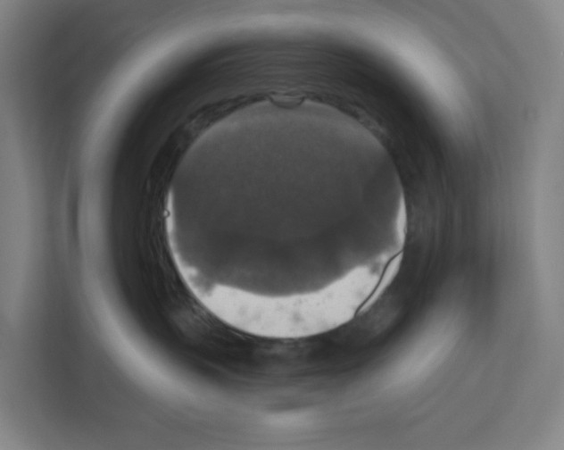 X0000111160383200908111159