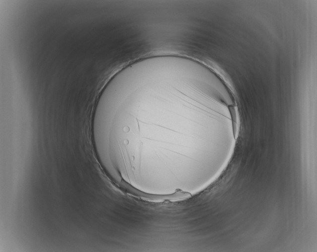 X0000111160385200908111158