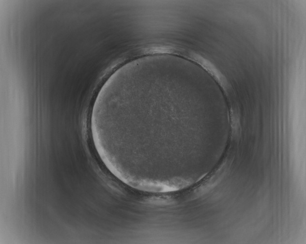 X0000111160386200908111158