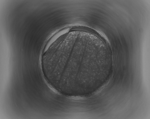 X0000111160389200908111158