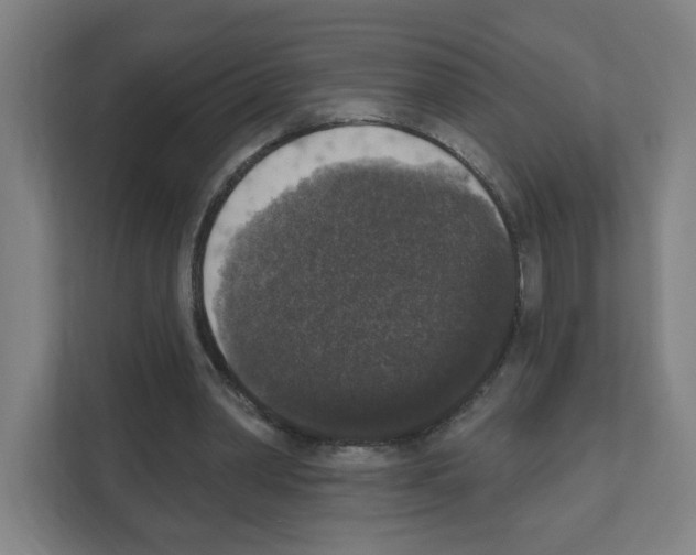 X0000111160390200908111158