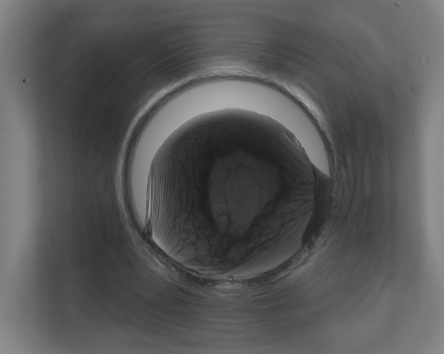 X0000111160391200908111158