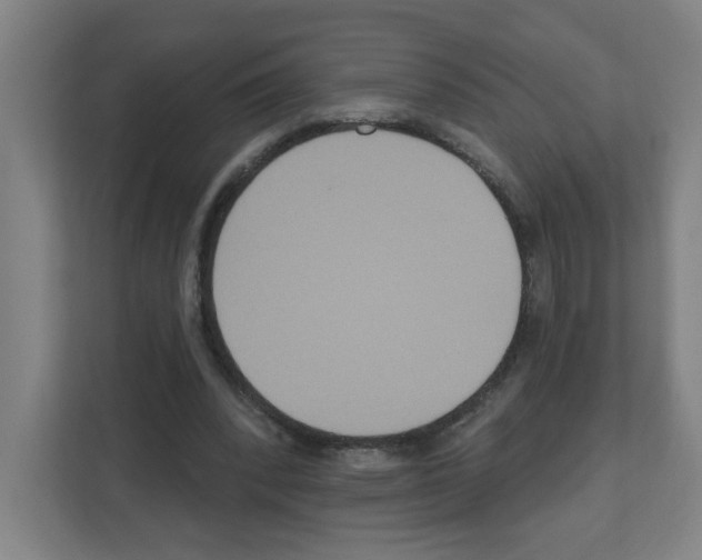 X0000111160392200908111158