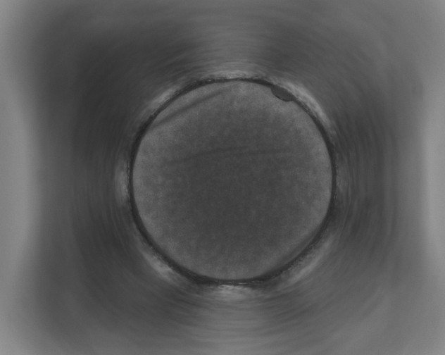 X0000111160393200908111158