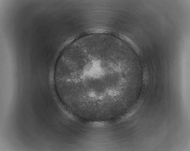 X0000111160394200908111158