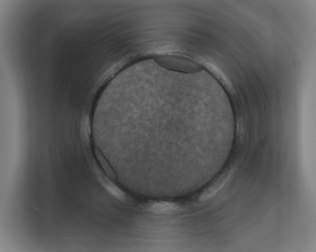 X0000111160397200908111158
