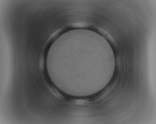 X0000111160400200908111158