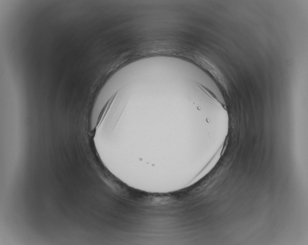 X0000111160401200908111158