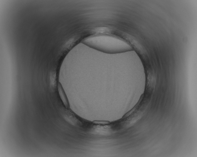 X0000111160403200908111158