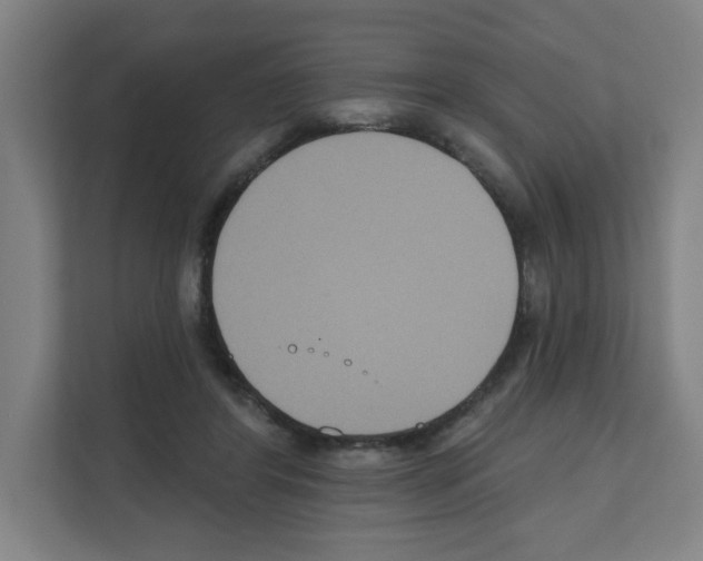 X0000111160404200908111158