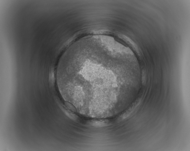 X0000111160405200908111158