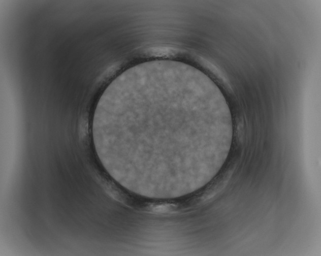 X0000111160407200908111158