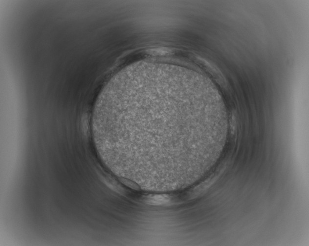 X0000111160409200908111158