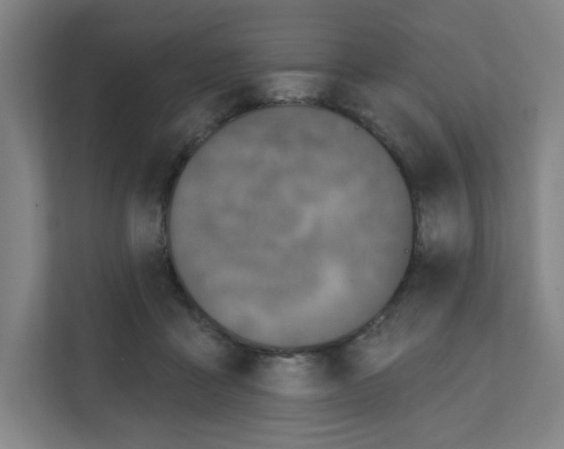X0000111160411200908111158