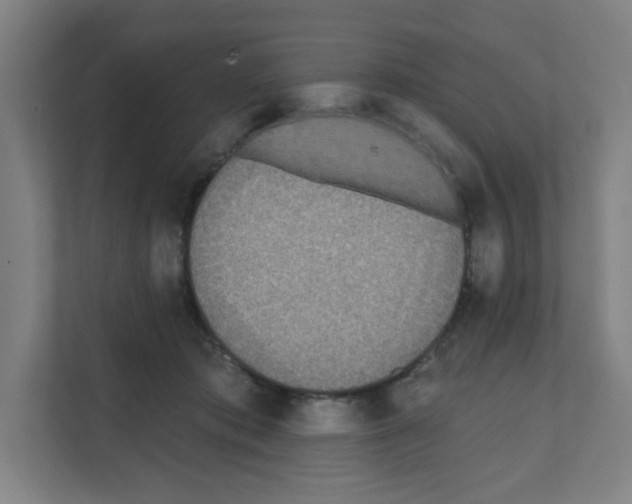 X0000111160413200908111158