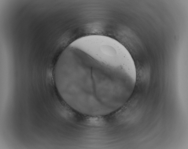 X0000111160415200908111158