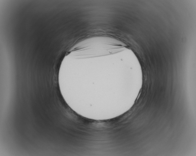 X0000111160419200908111158
