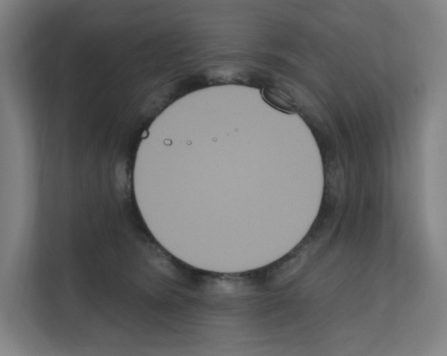 X0000111160420200908111158