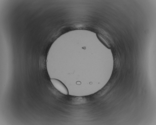 X0000111160421200908111158