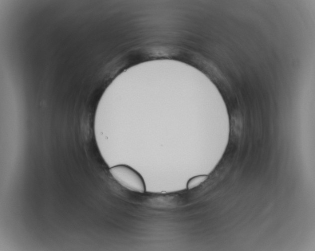 X0000111160422200908111158
