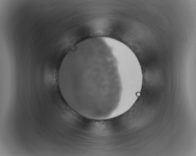 X0000111160423200908111158