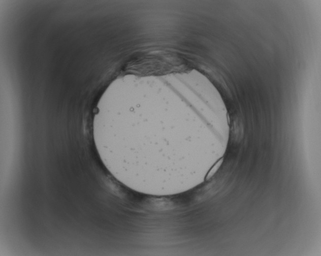 X0000111160424200908111158
