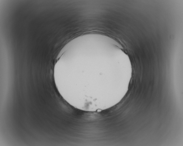 X0000111160427200908111157