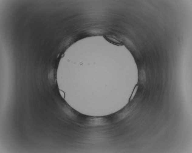 X0000111160428200908111157