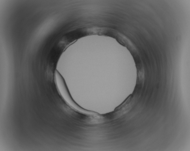X0000111160429200908111157