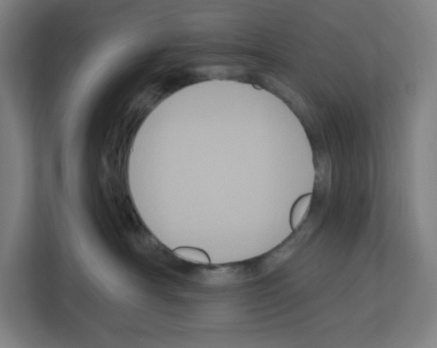 X0000111160430200908111157