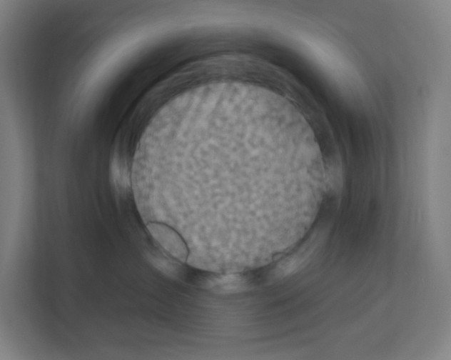 X0000111160431200908111157