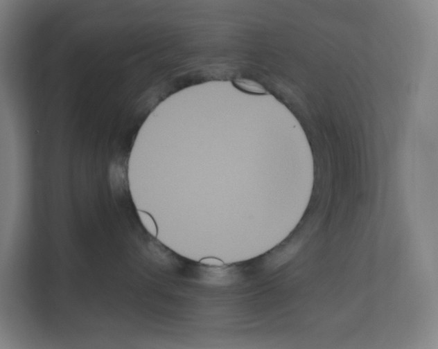 X0000111160432200908111157
