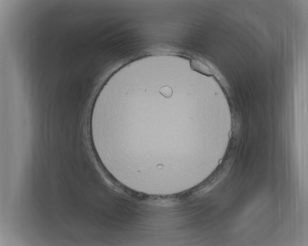 X0000111160433200908111157