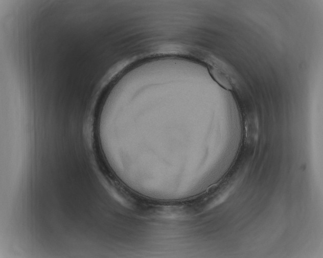 X0000111160436200908111157