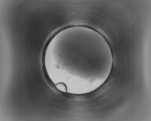 X0000111160438200908111157
