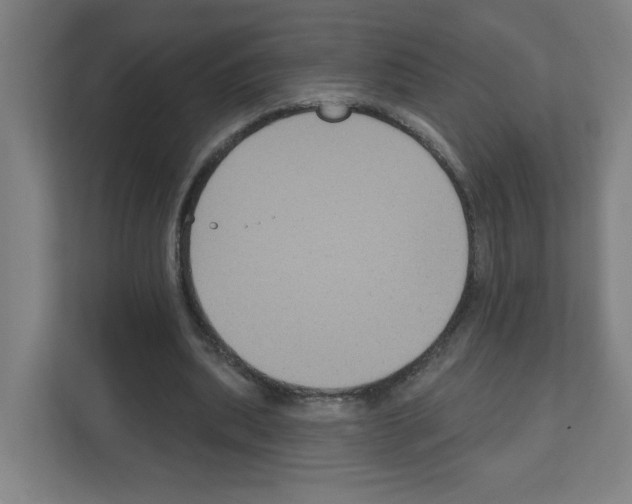 X0000111160439200908111157