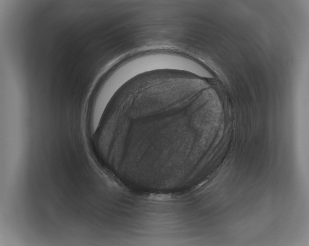 X0000111160440200908111157