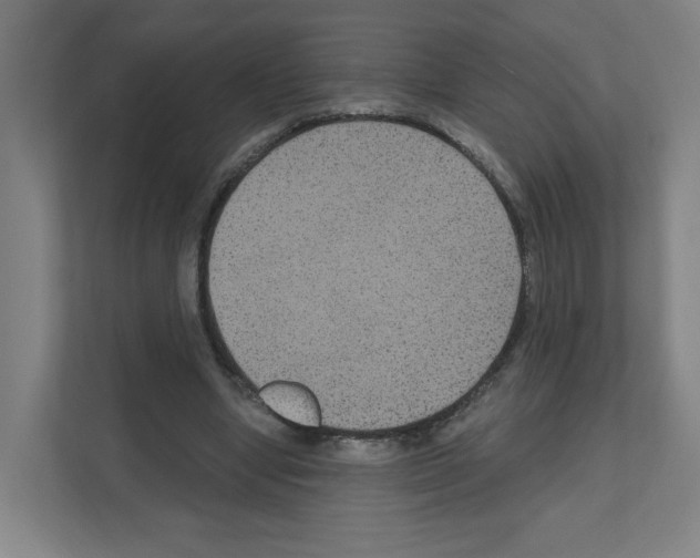 X0000111160442200908111157