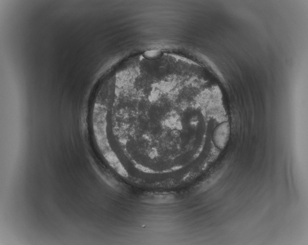 X0000111160443200908111157