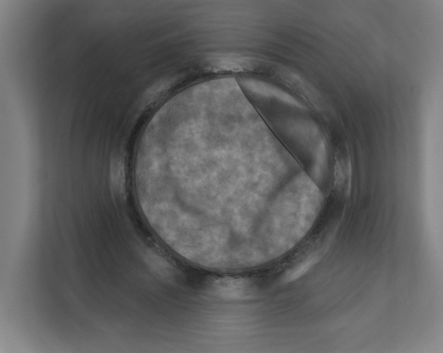 X0000111160444200908111157