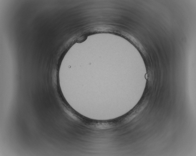 X0000111160445200908111157