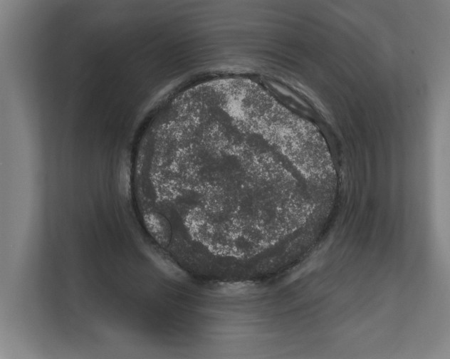 X0000111160446200908111157