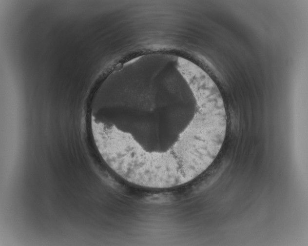 X0000111160447200908111157