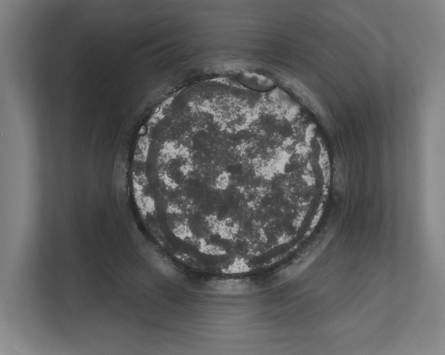X0000111160449200908111157