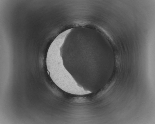 X0000111160451200908111157